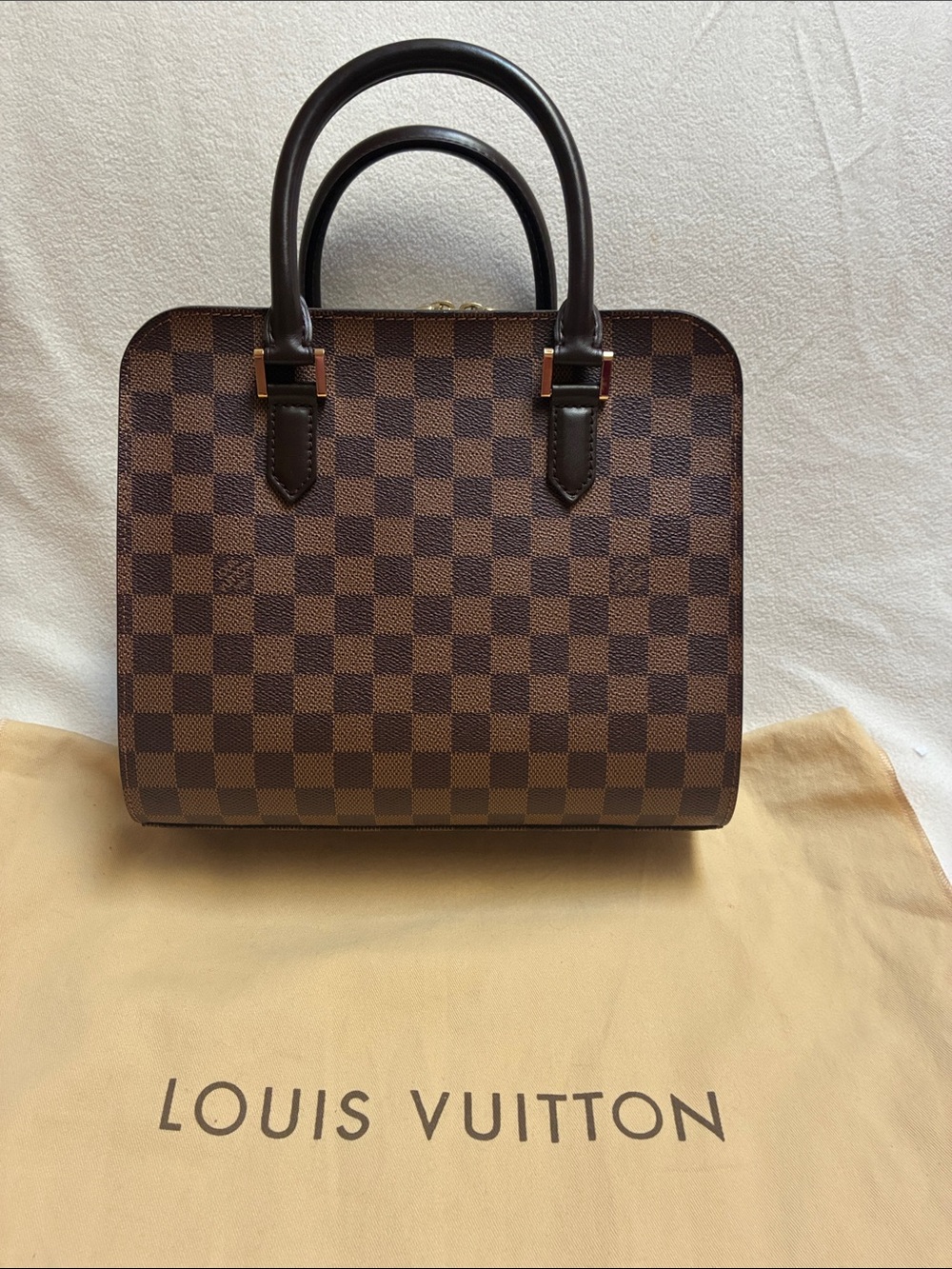 Louis Vuitton Damier Ebene Triana